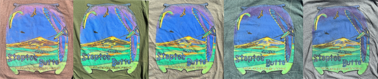 Steptoe Butte Shirts - Image 2